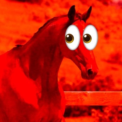 horse60348's profile picture. previously @mo3gster

Priv account @mmegomoegi

IM 14 FOURTEEN BITCH 14444 “MINORS DNI” GO AWAY 😭🤞

#prosaken #dieofrape #gra4m #proshiptwt #comblox