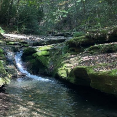 Reel_Gains's profile picture. Investing | Options Trading