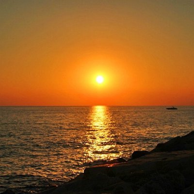 KathrineR38014's profile picture. 