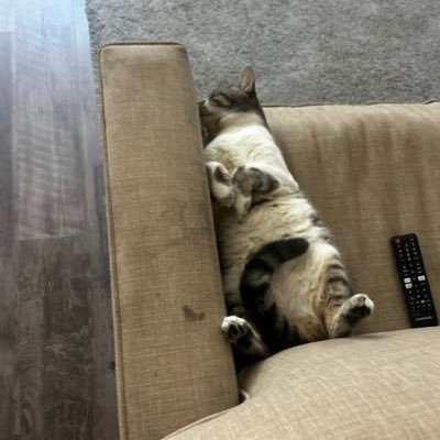 guzmanfv00's profile picture. Fernando_g55