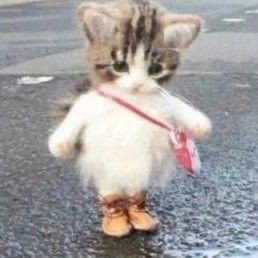 hannybu00's profile picture. 