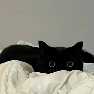 immissyoublejie's profile picture. 