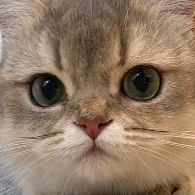 xxinstax's profile picture. all posts on this account are jokes