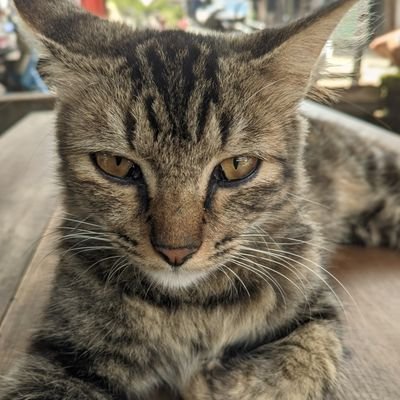 wonbiduanseok's profile picture. 