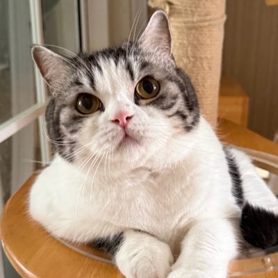 aom_kornkot's profile picture. 