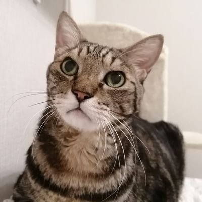 tnuck158575's profile picture. 