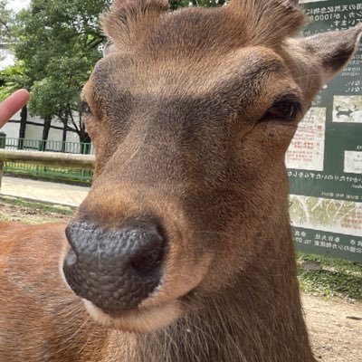 BlackTeWon's profile picture. 中文/日本語/English 🆗