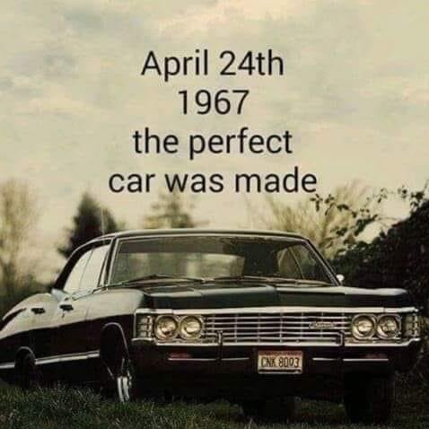 TonyDzeky's profile picture. Here to enjoy the finer things in life, such as Trans women! I am a lover of them, and support them.