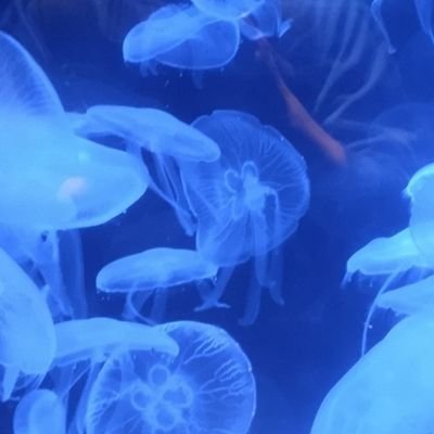 hrt43994399's profile picture. 08 male