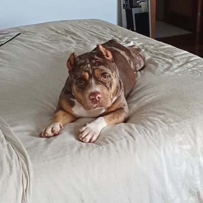 yojlegna's profile picture. Cherish genuine people because real is rare, fake is everywhere.