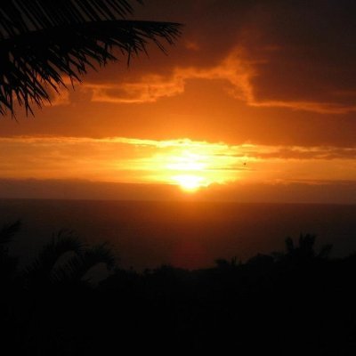 patriciaba7807's profile picture. 