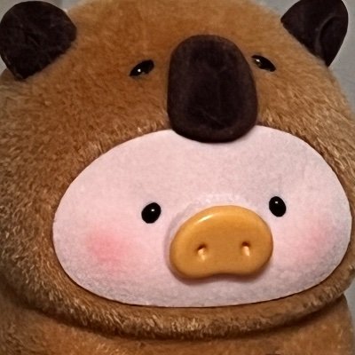 guguguguguitar's profile picture. 프론트엔드, 블록체인, Rust