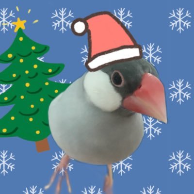 Lambchopoo's profile picture. 兵庫県に在住。シルバー文鳥の「プーシェ」♂2018.1.11生まれと、白文鳥の「コッペ」♂2018.9.1生まれ と暮らしています。ただいまコッペはダイエット中です。