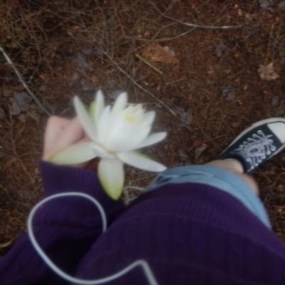 lostmyoxy's profile picture. 