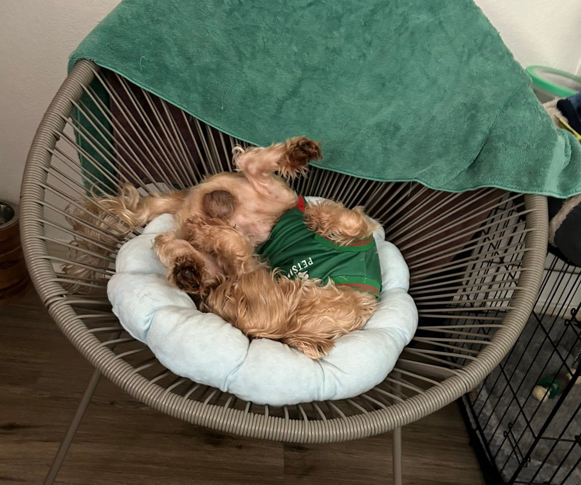 JorgeChavet5t's profile picture. 