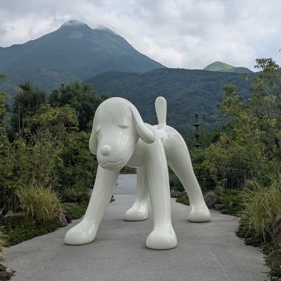 SJwk9QGDRX73884's profile picture. 