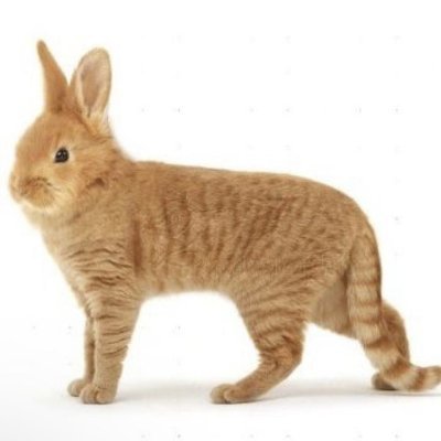 xuiumm's profile picture. 19, black https://t.co/5ADwTdMikm || https://t.co/MHdVYo5n26 || proship dni || nudity warning 
hi vex /multifandom/ my wife @pwnedfaced ❤️