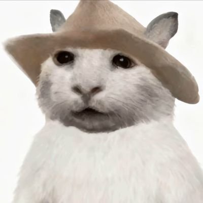 daniu1121's profile picture. 