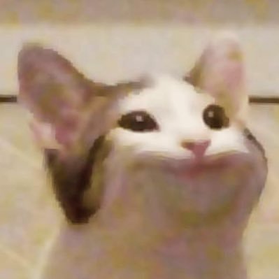 Mogya_a_a_a's profile picture. ナタデコ高校卒