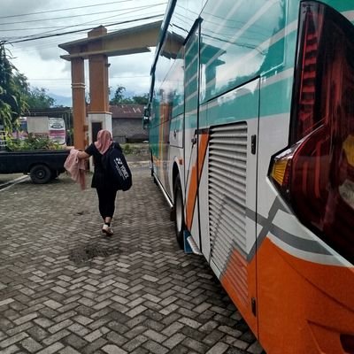 Greenw1n15800's profile picture. 