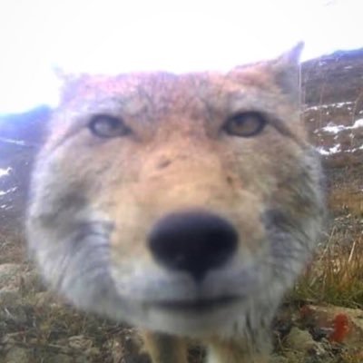 litedart's profile picture. i believe ppl can do more together than alone and each of us plays an important role in helping to create a safe and respectful community ☆ @oekakiconnect