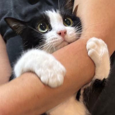 apoctekk's profile picture. sibuk survive di sig