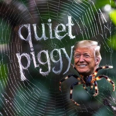 66EarlyBird's profile picture. 