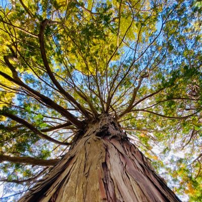 humanismissin's profile picture. #反出生主義者 #HSS型HSP #nihilism #金は困ってない #充実してても希死念慮あるで、存在しないに越したことはないのだから。