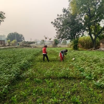 kumari_pat42795's profile picture. 