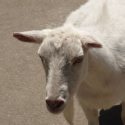 yosshiiii23's profile picture. ﾒｪ~