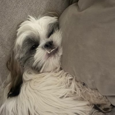 metzlynatera's profile picture. ☆∴｡ **｡★･ ･ *ﾟ｡ * ･ ﾟ*｡･ﾟ★｡ ☆ﾟ･｡°*. ﾟ * ﾟ｡·*･｡ ﾟ* ﾟ *.｡☆｡★ ･ * ☆ ｡･ﾟ*.｡ * ★ ﾟ･｡･ ｡★｡ ☆ﾟ･｡°*. ﾟ * ﾟ｡·*･｡ ﾟ* ﾟ *.｡☆｡★ ･ * ☆ ｡･ﾟ*.｡ * ★ ﾟ･｡･ ｡ ★ ﾟ･｡･ ｡★｡