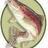 villageangler's profile image