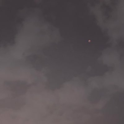 donotcuteriashi's profile picture. 