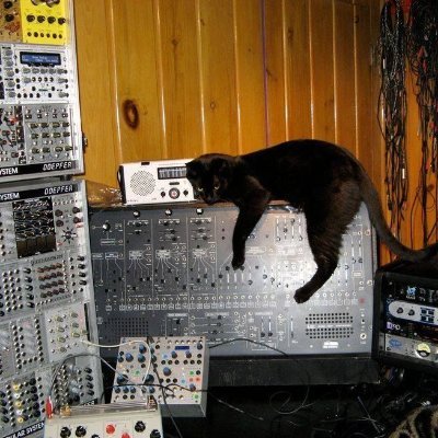 pestakiamat's profile picture. 