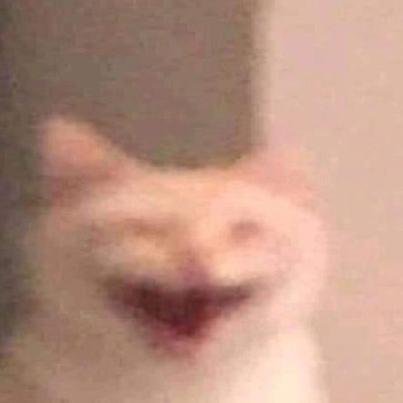 nay000nma's profile picture. 