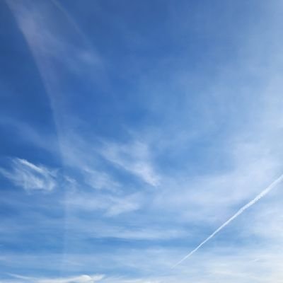 Blockclog's profile picture. yo gurt