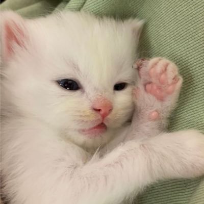 LVEUHO's profile picture. nsfw acc mute / block if uncomfy . stay safe ^ᴗ^