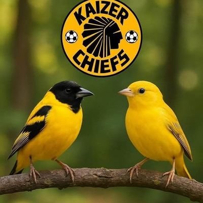 LutendoMathobo's profile picture. A dad to Azania👩🏽
Family comes first👩‍👩‍👧‍👧
Kha zwothe ri livhuwa Muvhumbi🙏🏽