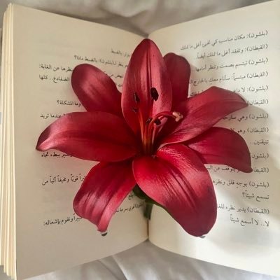 CYS_Lu47's profile picture. InfoSec Diploma Graduate | On my journey to complete a BSc in Computer Science | #UQU