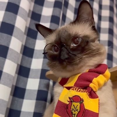 Joelcenteno_20's profile picture. 