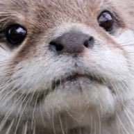 ken329_P's profile picture. 跡地