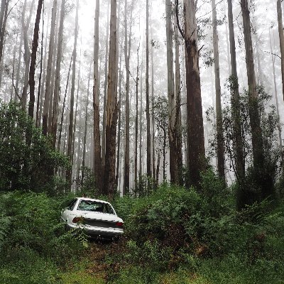 canoscotty75732's profile picture. Home is somewhere between Australia and Canada.