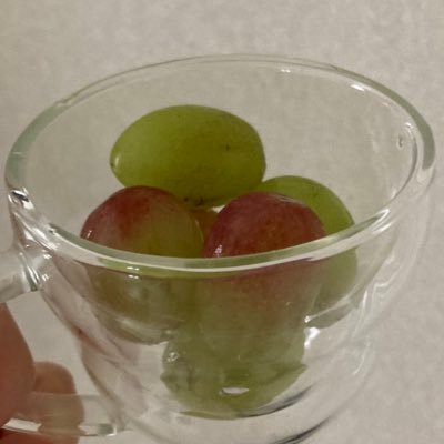 suzusaurus_'s profile picture. 美容と健康 | 30代会社員 | よく食べよく動きよく眠ります