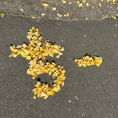 piiiii0505's profile picture. トレーナー名はtsumano26。熊本市在住の30代。推しは黄色いコダック。ポケモンGOは生き甲斐。カビゴンのためにSLEEPも全力。ポケふたに会いによく旅に出ます♡ポケモンとの愉快な毎日をペタペタと。WILD AREA福岡と長崎・GOFES大阪2025参戦◎コミュニティアンバサダー就任しました♡仲良くしてください〜