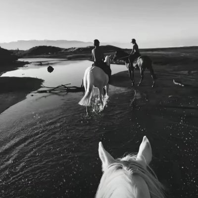 TianT35930's profile picture. 