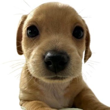 gridstream81104's profile picture. 