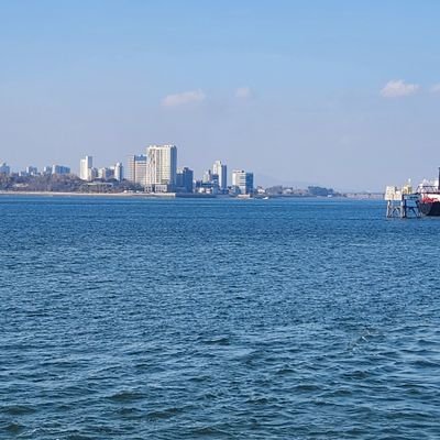 wekk06's profile picture. 각종 장르 파는 사람. 티니핑,프리큐어,가면라이더,슈퍼전대,포켓몬 등 다 좋아함