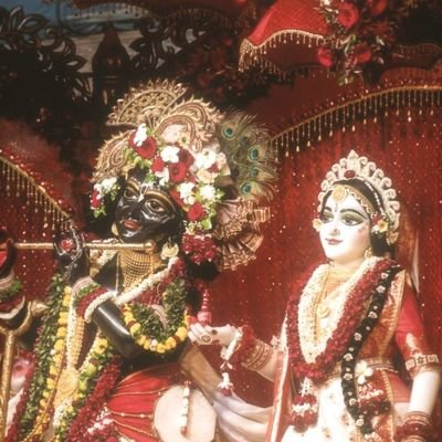 ArabhS42903's profile picture. 