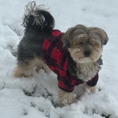 ymcamomfmm's profile picture. 