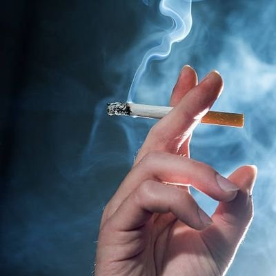 hiba_tu's profile picture. سیاہ فام 🥀